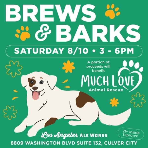 Brews & Barks flyer