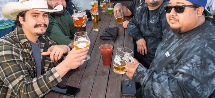 Group of people toasting with beer