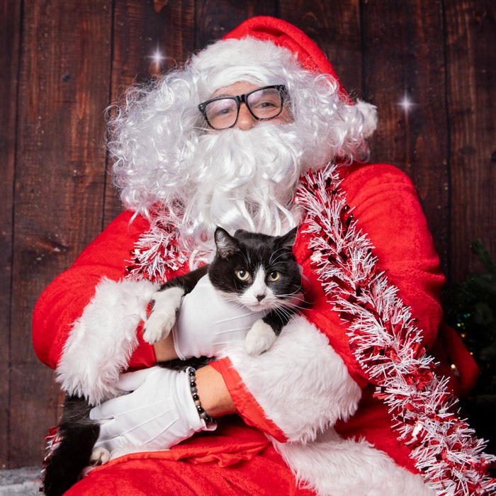 Cat photo with Santa at LA Ale Works Hawthorne