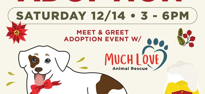 Pet Adoption Popup